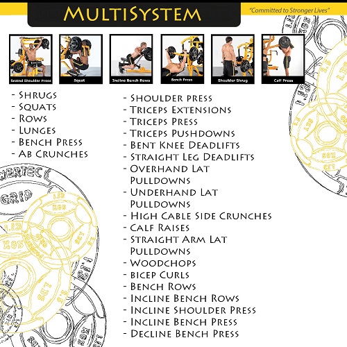 Powertec Workbench Multi System WBMS16 YY (Full Matted Yellow Finish