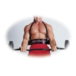 Body-Solid Bicep Bomber