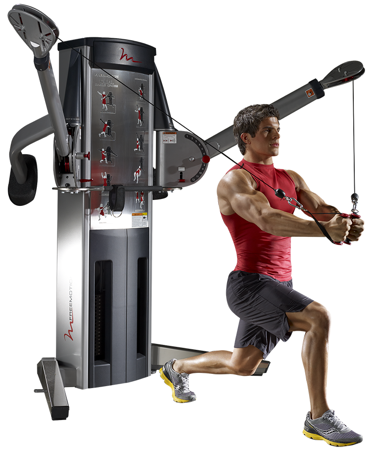 Gym Equipment - Commercial gym Equipment Latest Price, Manufacturers &  Suppliers