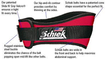 Shop Weight Lifting Belts Now